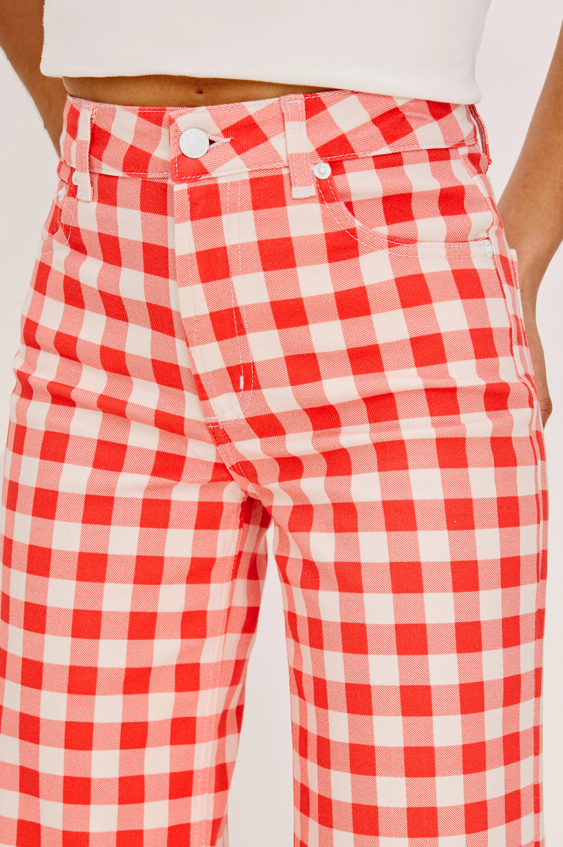 RAILS X GIADZY GETTY CROP WIDE LEG - TOMATO GINGHAM - Image 2