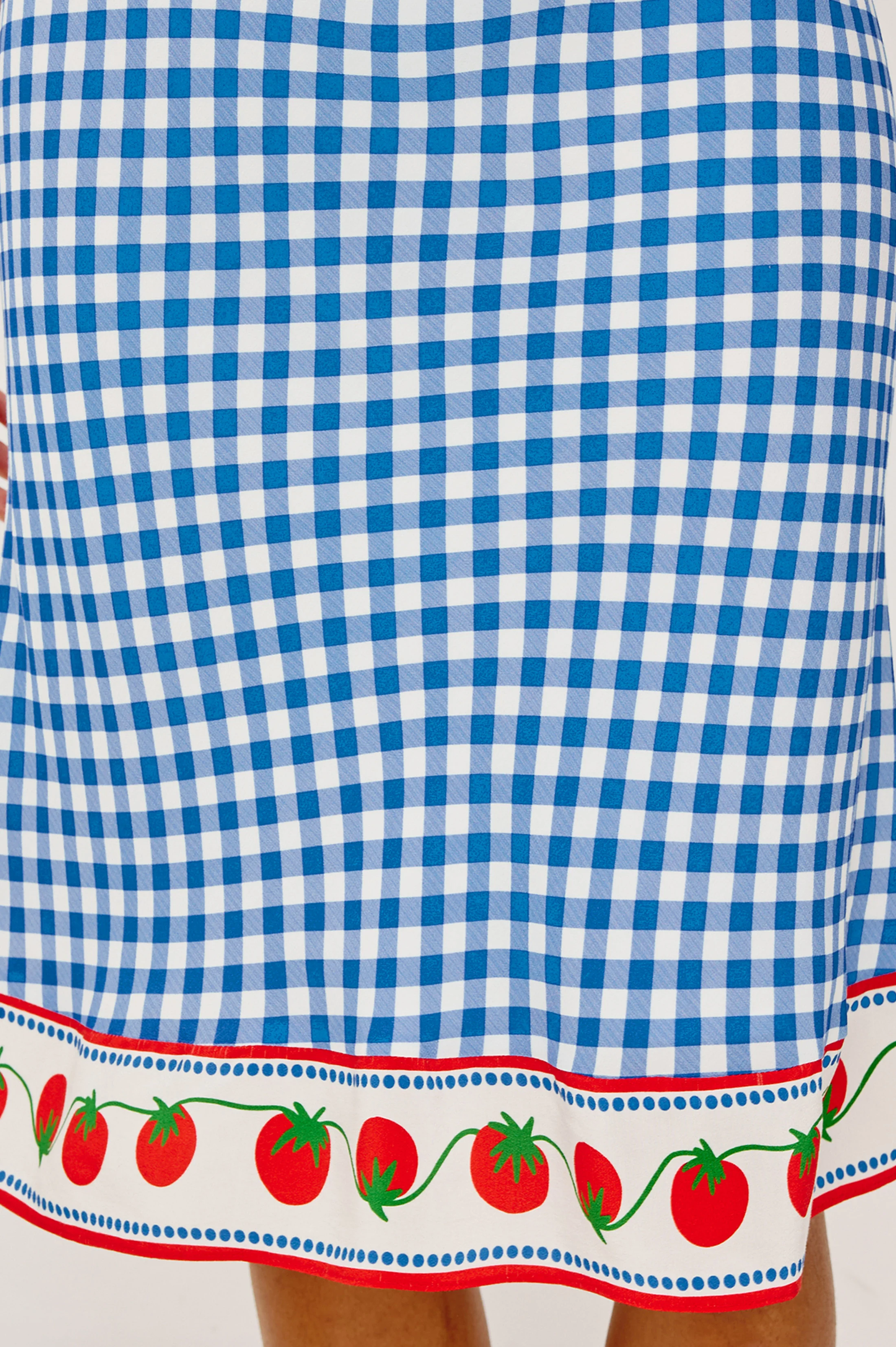 RAILS X GIADZY GRAZIA SKIRT - GINGHAM TOMATOES - Image 2
